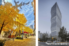 体鼓包、拆修材料等严沉质量问题